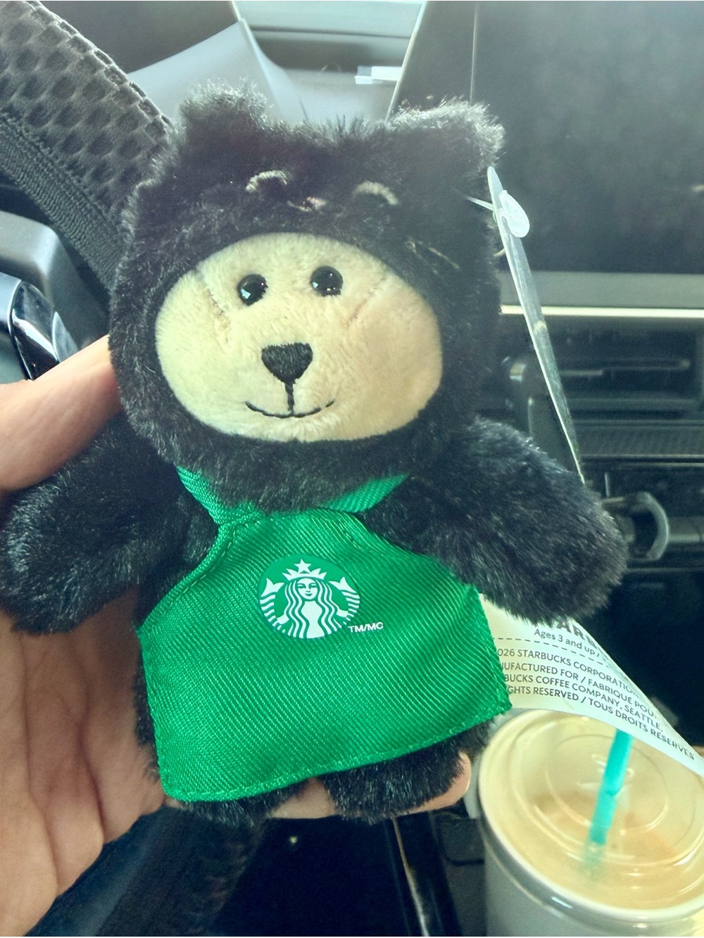 Starbucks Black Plush Bear with Green Logo Apron